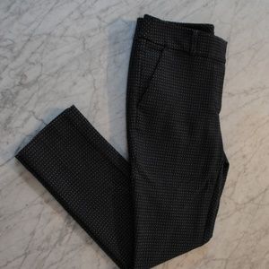 Cute Loft Marissa Fit Navy Pants with White Dots